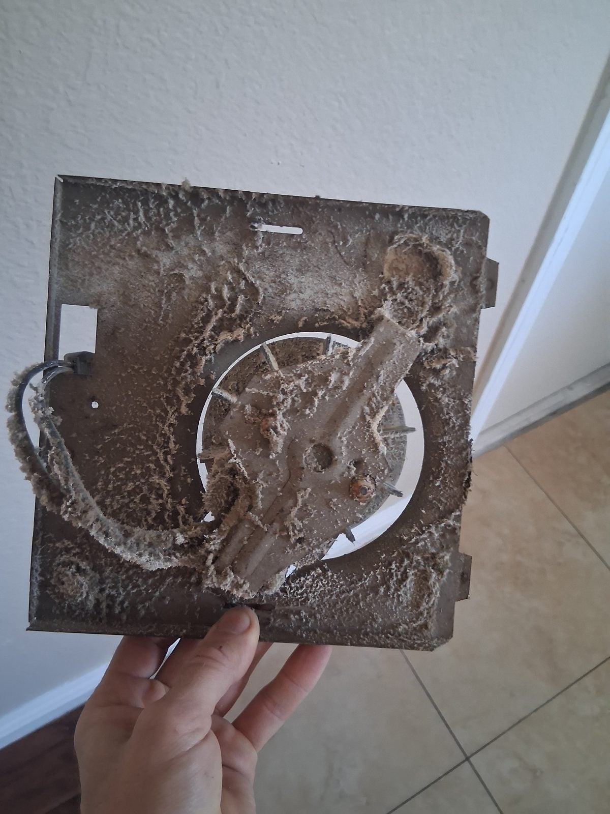 Old bathroom exhaust fan cover caked with dust